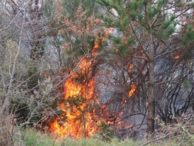 ΤΩΡΑ: Πυρκαγιά σε ξερά χόρτα στο Κρυονέρι